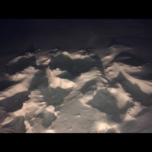 Meet your Posher, Roy